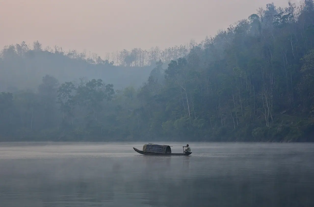 Kaptai National Park