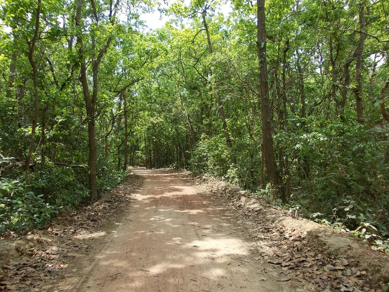 আলতাদীঘি জাতীয় উদ্যান