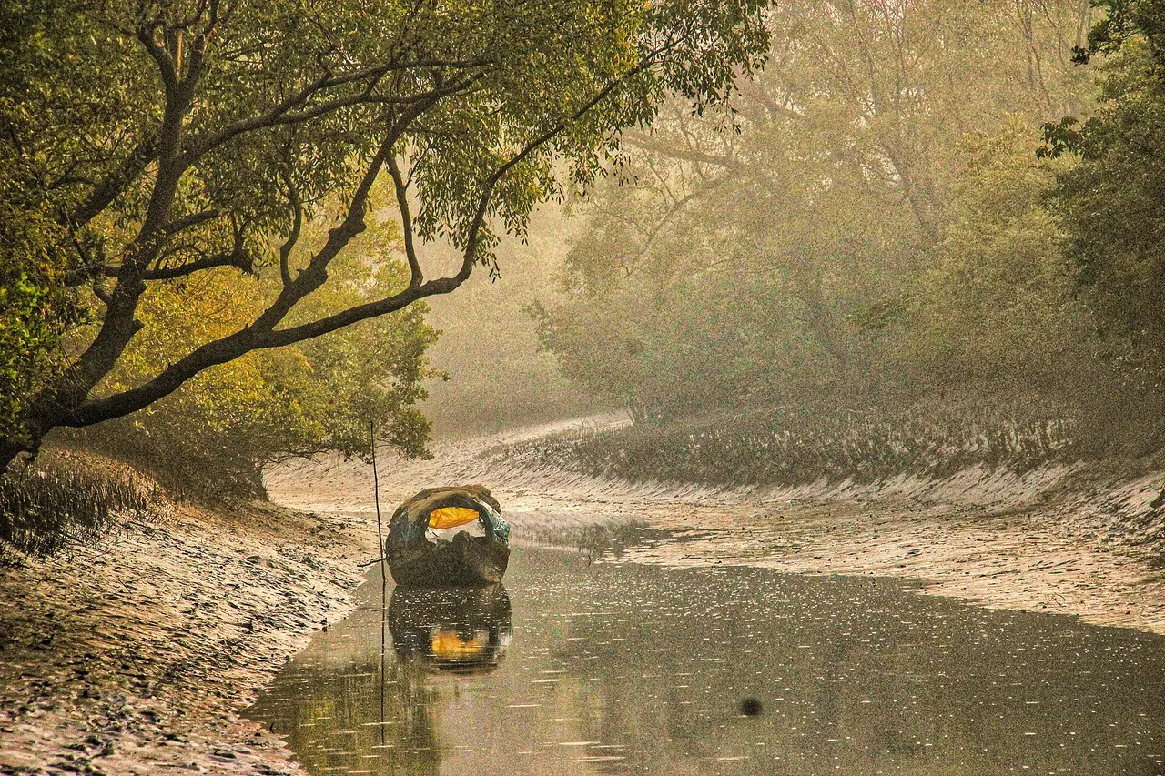 সুন্দরবনের মধু