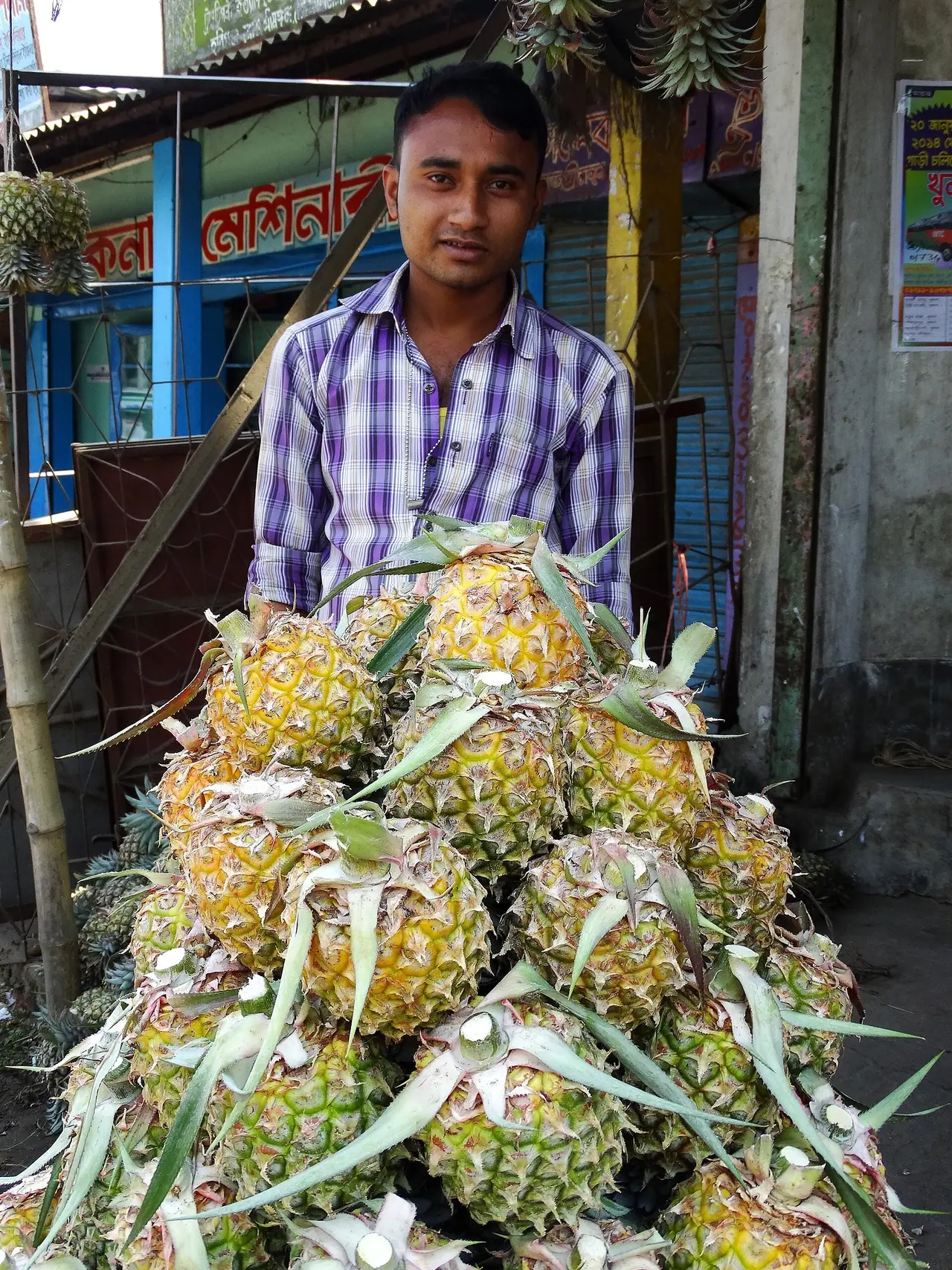 Srimangal Pineapple