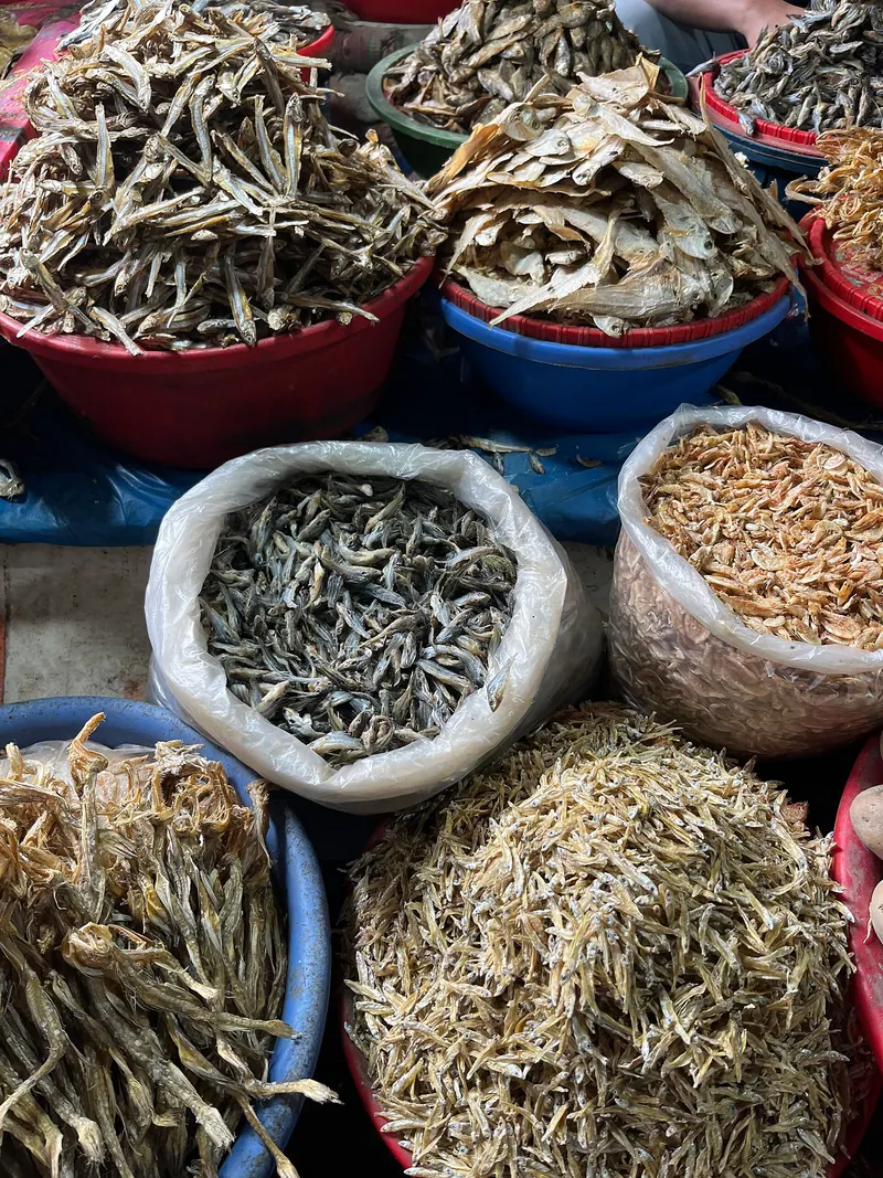 ময়মনসিংহের মাছ
