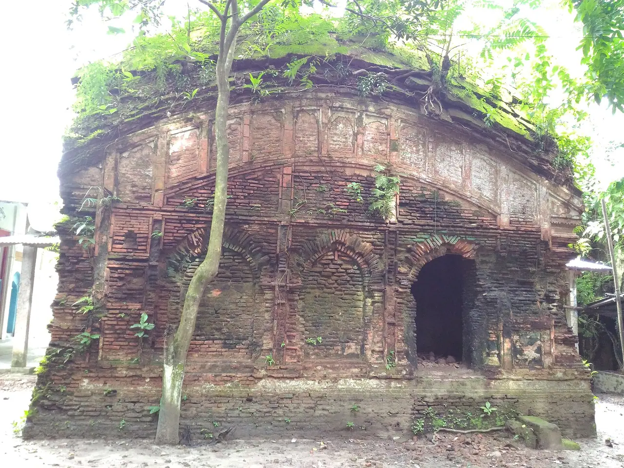 Dhanuka Manasa Bari