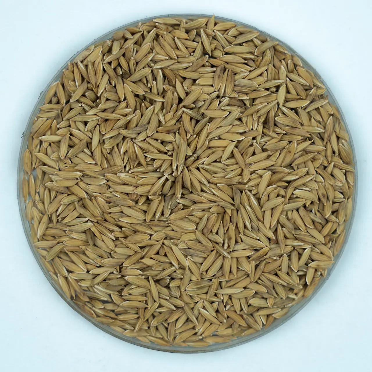 Kataribhog Rice and Chira