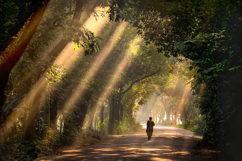 মশাজানের দিঘী