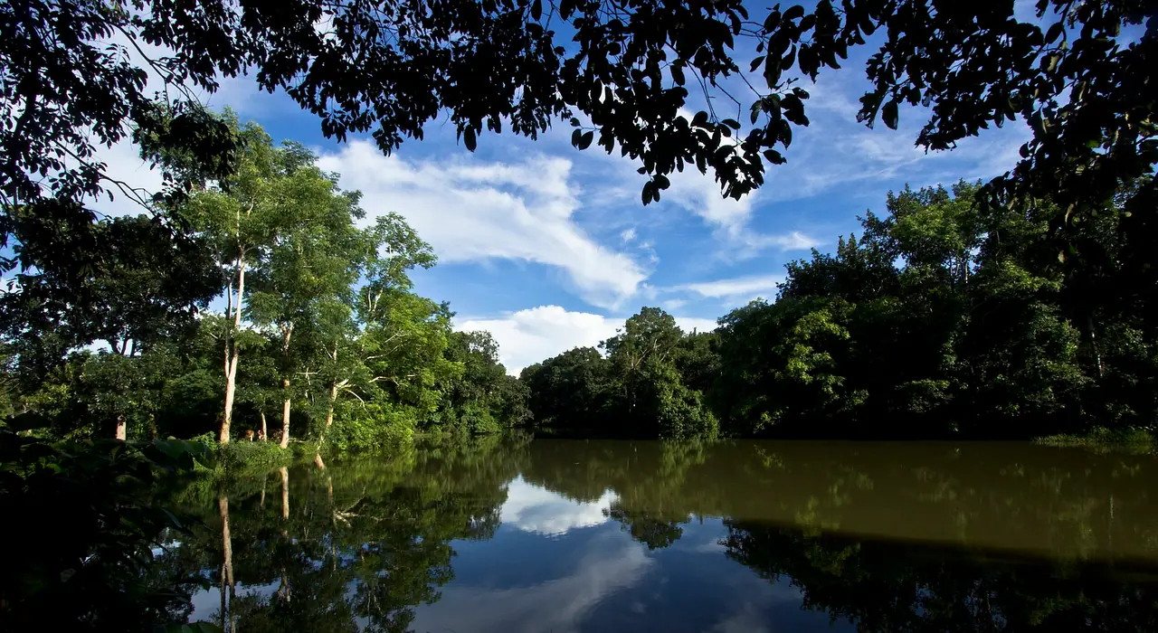 রেমা-কালেঙ্গা বন্যপ্রাণী অভয়ারণ্য