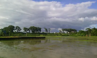 ফেনী