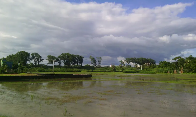 শিলুয়ার শিল