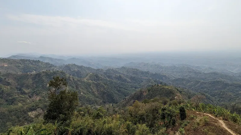নীলগিরি
