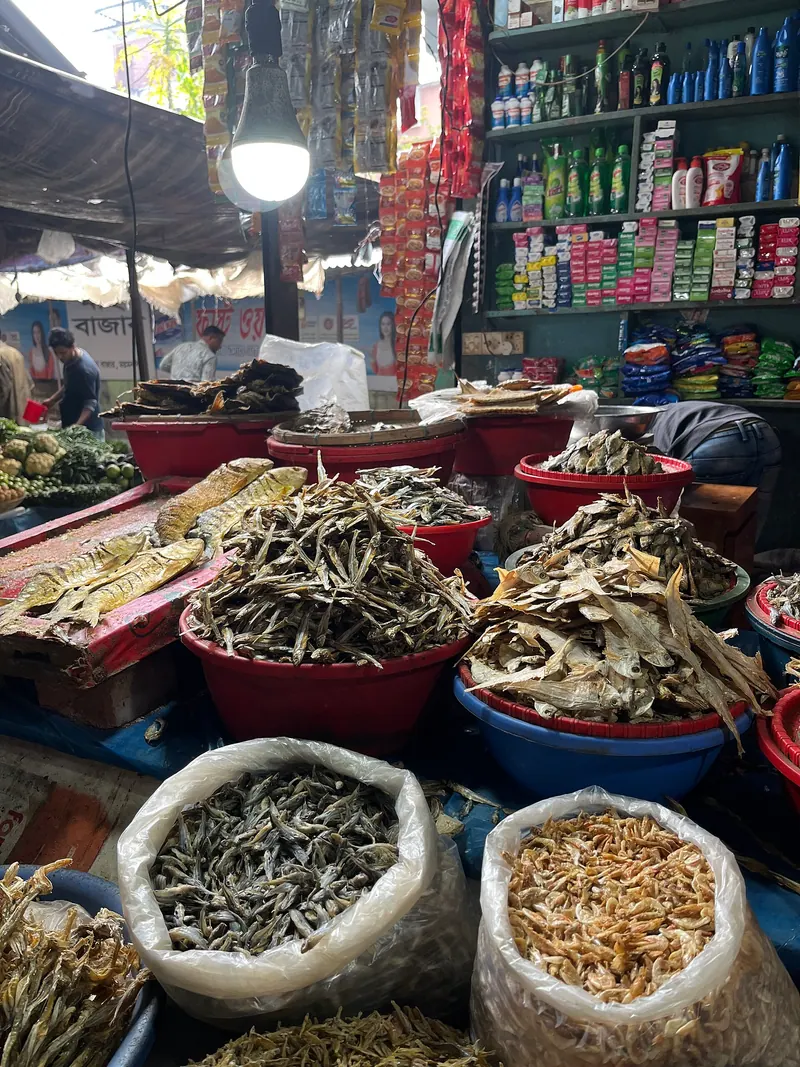 নান্দাইলের চ্যাপা শুঁটকি