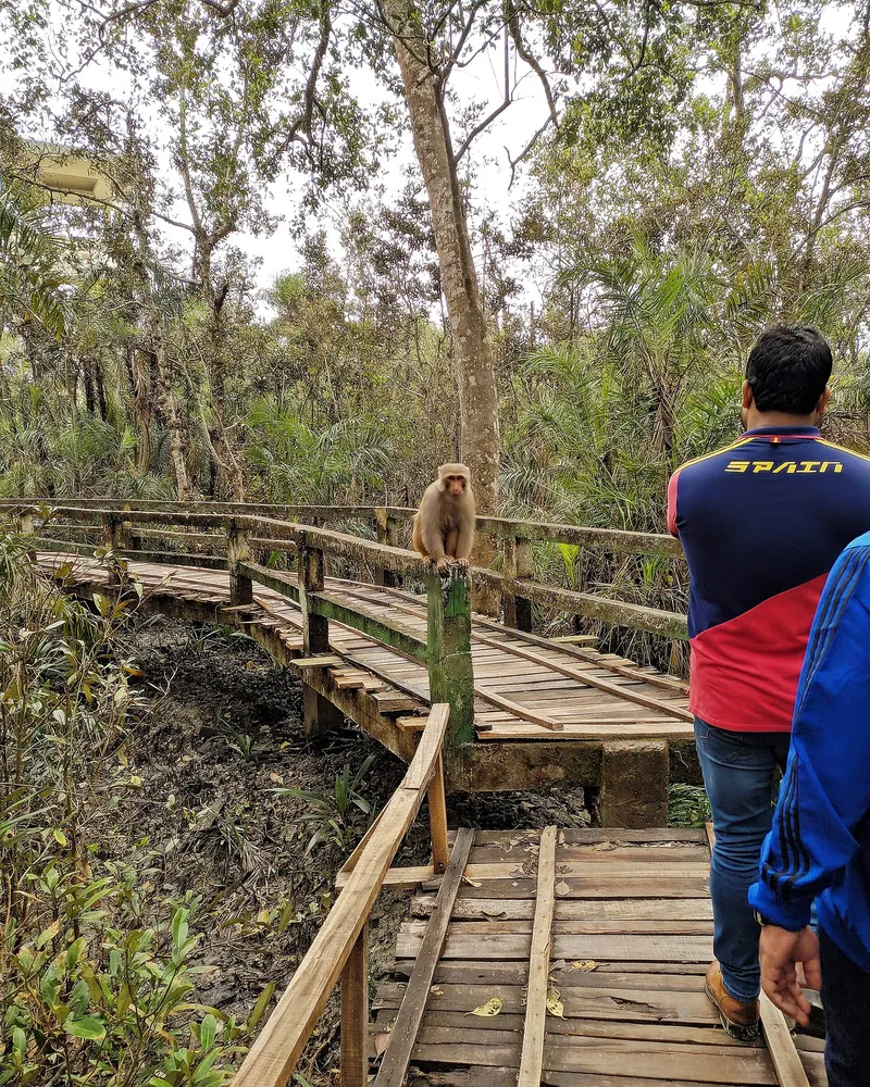 করমজল