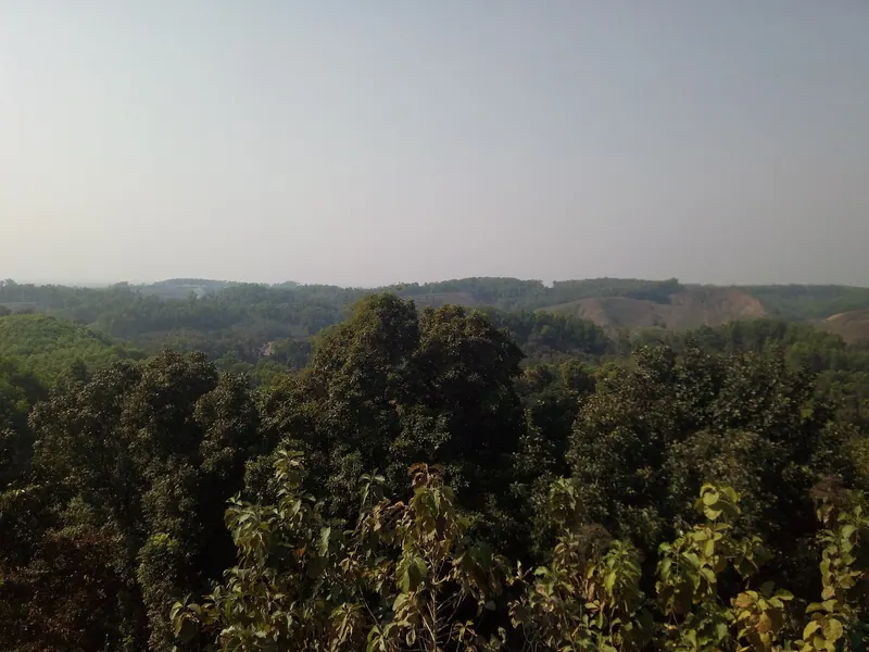 লাউচাপড়া