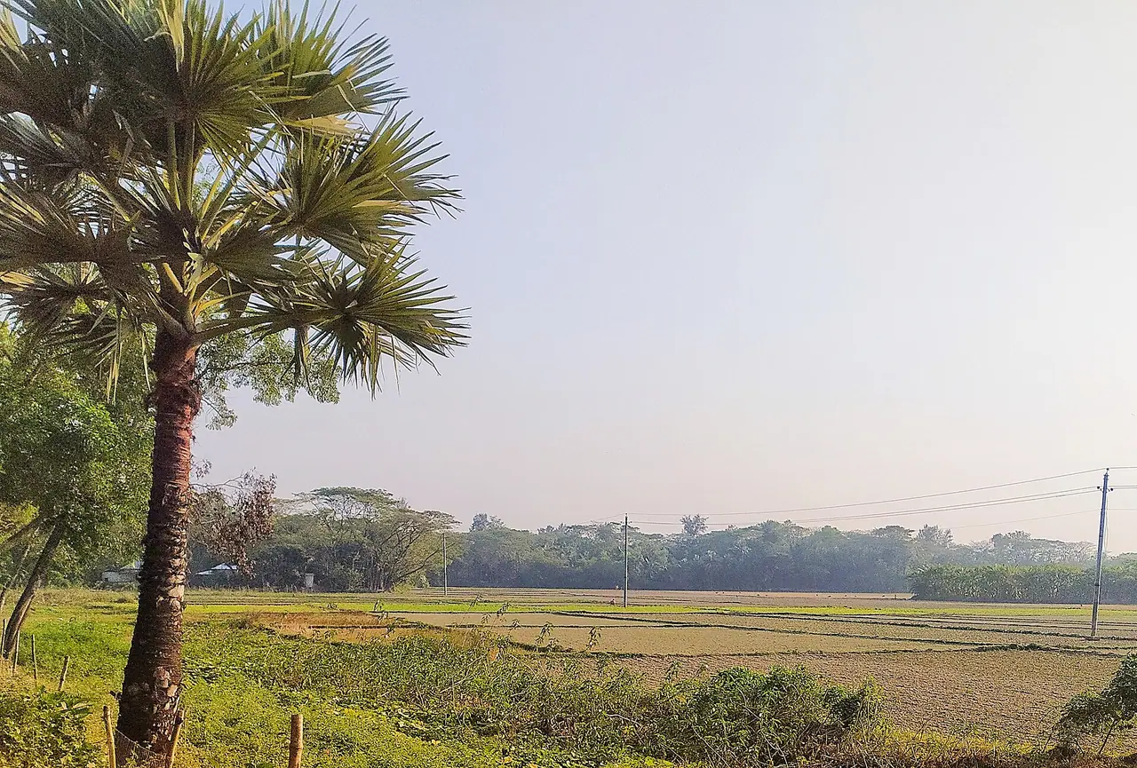 হাতিয়া দ্বীপ
