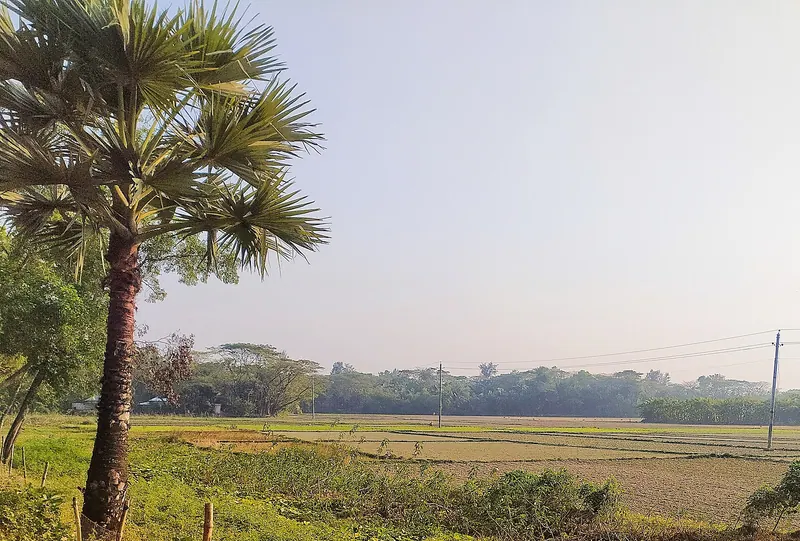 হাতিয়া দ্বীপ