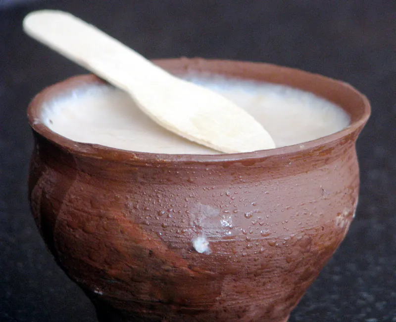 সিদ্ধিরগঞ্জের দই ও কাঁচা ছানা